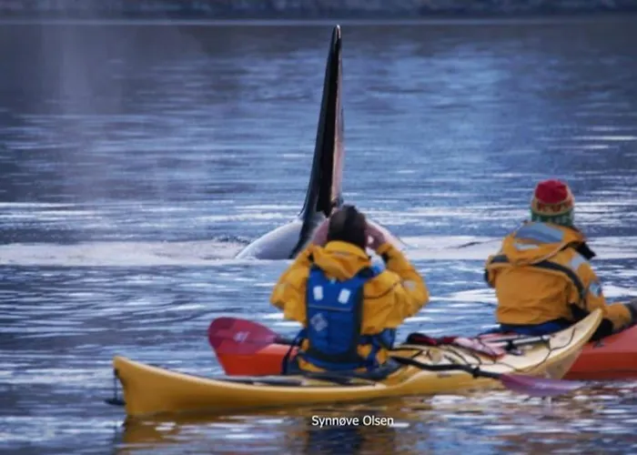 Retro - Cozy With A Fantastic View